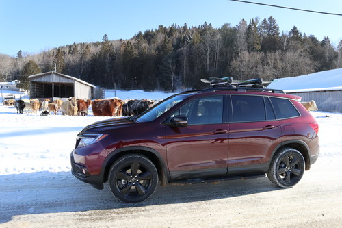 2019 Honda Passport