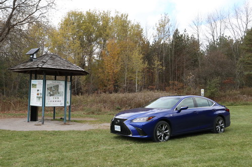 2019 Lexus ES350